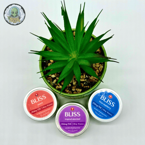 Bliss Gummies 250mg THC