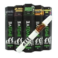 Evolve 2g Disposable Vape Pen